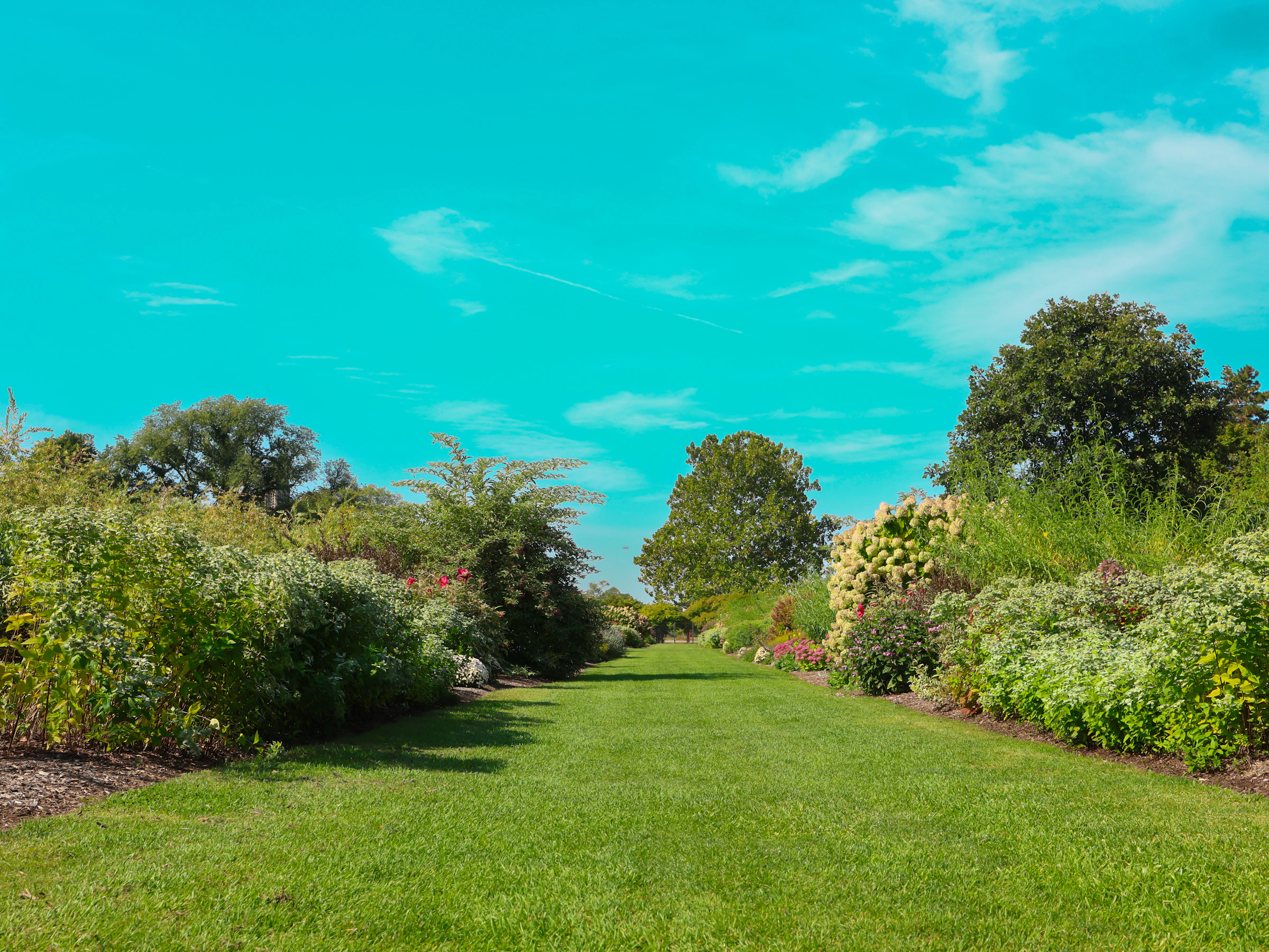 A lush green lawn framed by colorful flowering borders and mature trees