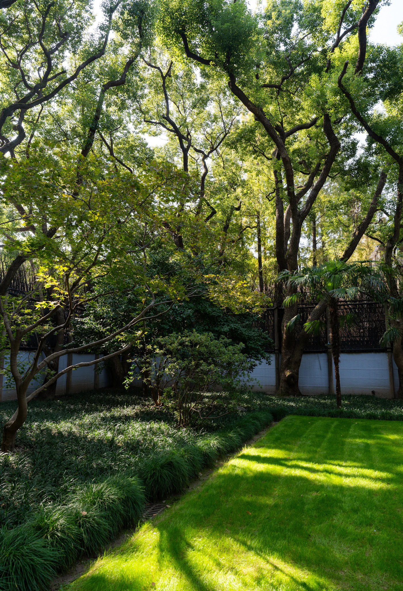 Lawn care and maintenance